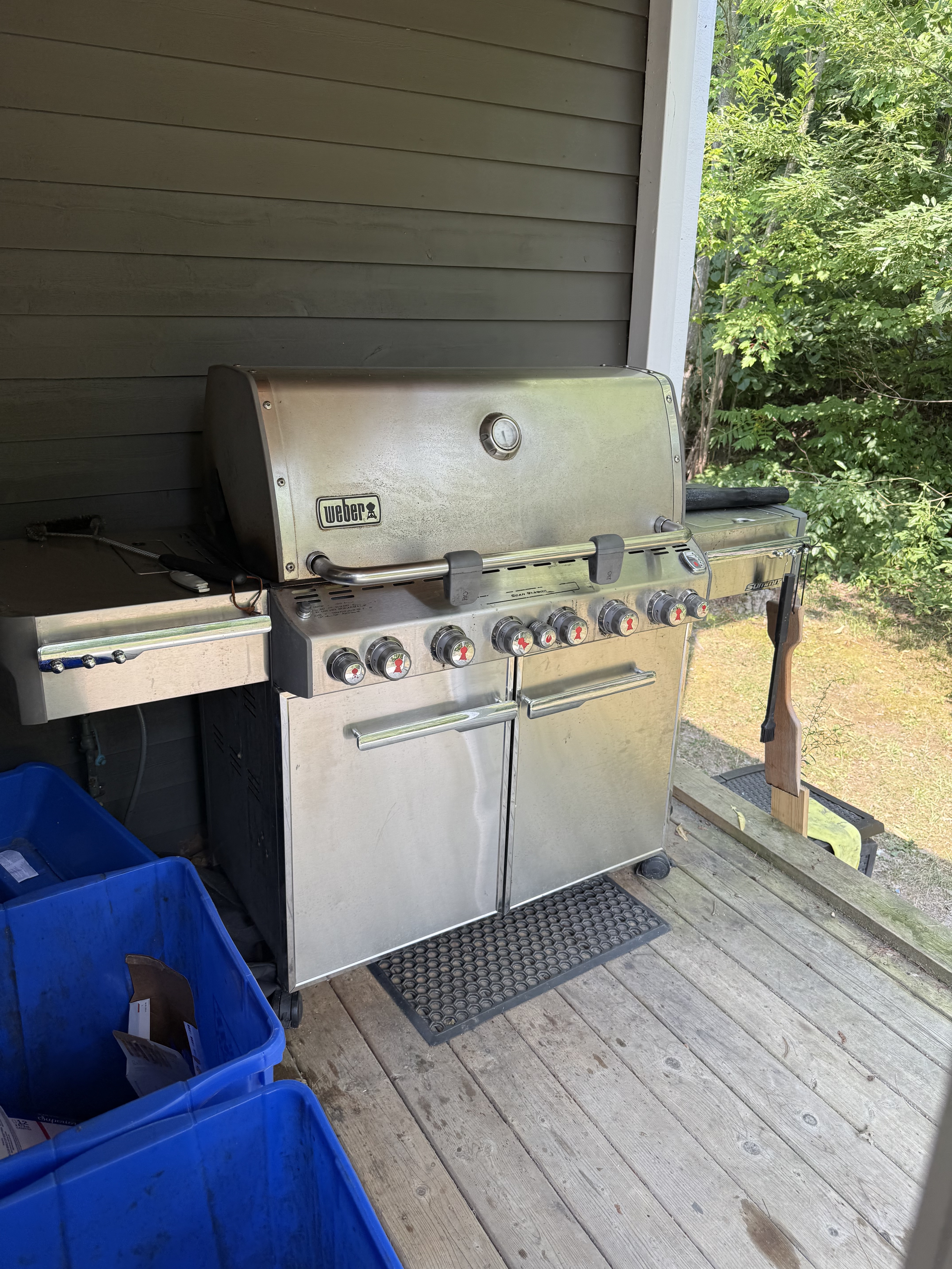 Big stainless Weber Summit cleaned and shining